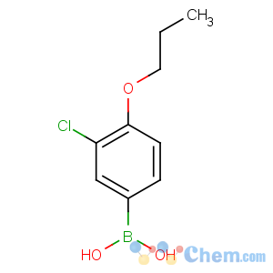 CAS No:480438-57-1 (3-chloro-4-propoxyphenyl)boronic acid