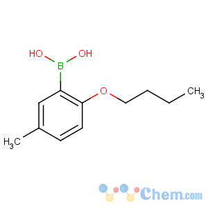 CAS No:480438-72-0 (2-butoxy-5-methylphenyl)boronic acid