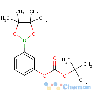 CAS No:480438-74-2 tert-butyl [3-(4,4,5,5-tetramethyl-1,3,2-dioxaborolan-2-yl)phenyl]<br />carbonate