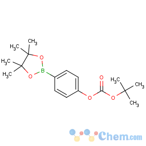 CAS No:480438-75-3 tert-butyl [4-(4,4,5,5-tetramethyl-1,3,2-dioxaborolan-2-yl)phenyl]<br />carbonate