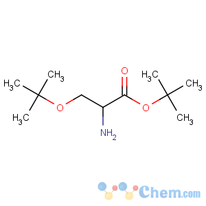 CAS No:48067-24-9 tert-butyl 2-amino-3-[(2-methylpropan-2-yl)oxy]propanoate
