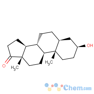 CAS No:481-29-8 Epiandrosterone