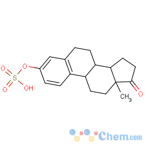 CAS No:481-97-0 [(8R,9S,13S,14S)-13-methyl-17-oxo-7,8,9,11,12,14,15,<br />16-octahydro-6H-cyclopenta[a]phenanthren-3-yl] hydrogen sulfate