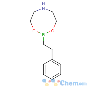 CAS No:4848-04-8 2-(2-phenylethyl)-1,3,6,2-dioxazaborocane