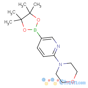 CAS No:485799-04-0 4-[5-(4,4,5,5-tetramethyl-1,3,<br />2-dioxaborolan-2-yl)pyridin-2-yl]morpholine