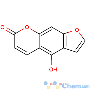 CAS No:486-60-2 4-hydroxyfuro[3,2-g]chromen-7-one