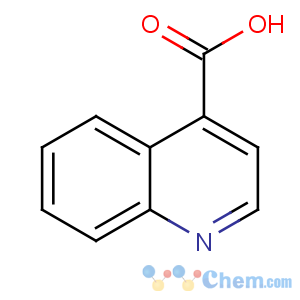 CAS No:486-74-8 quinoline-4-carboxylic acid