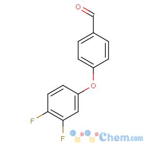 CAS No:486449-90-5 4-(3,4-difluorophenoxy)benzaldehyde