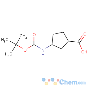 CAS No:489446-85-7 (1R,<br />3R)-3-[(2-methylpropan-2-yl)oxycarbonylamino]cyclopentane-1-carboxylic<br />acid