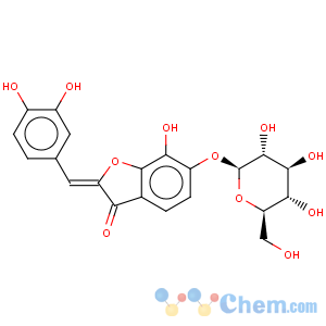 CAS No:490-54-0 3(2H)-Benzofuranone,2-[(3,4-dihydroxyphenyl)methylene]-6-(b-D-glucopyranosyloxy)-7-hydroxy-, (2Z)-