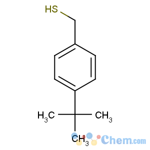 CAS No:49543-63-7 (4-tert-butylphenyl)methanethiol