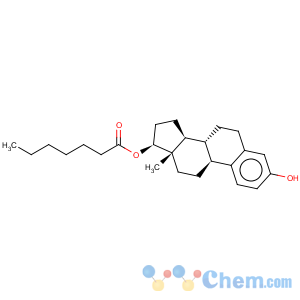 CAS No:4956-37-0 Oestradiol 17-heptanoate