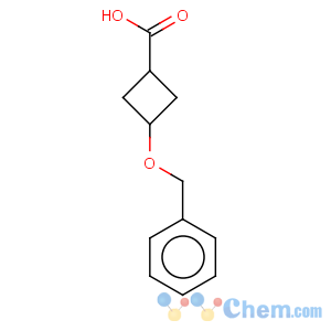 CAS No:4958-02-5 3-benzyloxy-cyclobutanecarboxylic acid