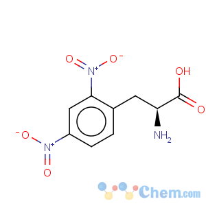 CAS No:49607-21-8 L-Phenylalanine,2,4-dinitro-