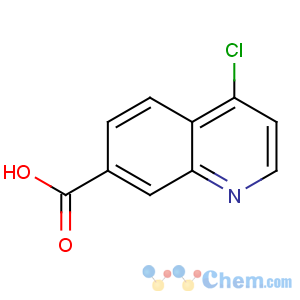 CAS No:49713-58-8 4-chloroquinoline-7-carboxylic acid
