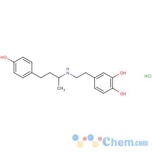 CAS No:49745-95-1 4-[2-[4-(4-hydroxyphenyl)butan-2-ylamino]ethyl]benzene-1,<br />2-diol