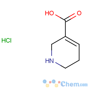 CAS No:498-96-4 1,2,5,6-Tetrahydro-pyridine-3-carboxylic acid hydrochloride