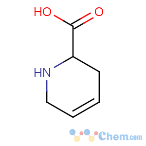 CAS No:498-98-6 1,2,3,6-tetrahydro-pyridine-2-carboxylic acid