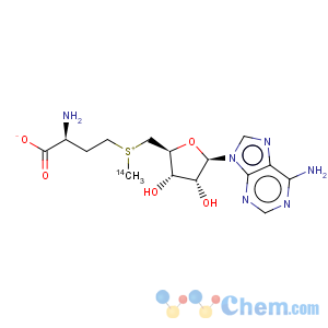 CAS No:4989-98-4 Adenosine,5'-[[(3S)-3-amino-3-carboxypropyl]methyl-14C-sulfonio]-5'-deoxy-, inner salt(9CI)