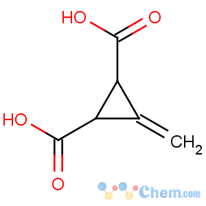 CAS No:499-02-5 3-methylidenecyclopropane-1,2-dicarboxylic acid