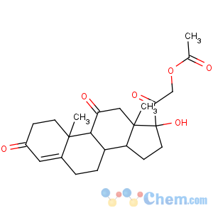CAS No:50-04-4 [2-[(8S,9S,10R,13S,14S,17R)-17-hydroxy-10,13-dimethyl-3,11-dioxo-1,2,6,<br />7,8,9,12,14,15,16-decahydrocyclopenta[a]phenanthren-17-yl]-2-oxoethyl]<br />acetate