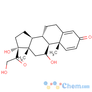 CAS No:50-24-8 Prednisolone