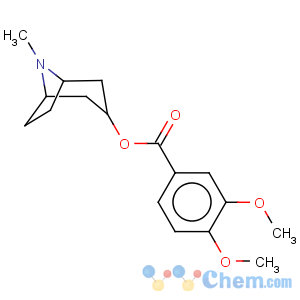 CAS No:500-56-1 Benzoic acid,3,4-dimethoxy-, (3-endo)-8-methyl-8-azabicyclo[3.2.1]oct-3-yl ester