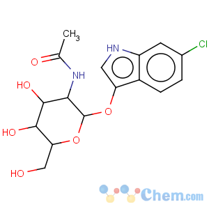 CAS No:501432-61-7 6-Chloro-3-indoxyl-N-acetyl-beta-D-galactosaminide