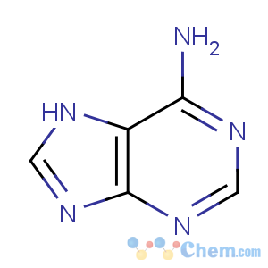 CAS No:5019-49-8 1H-Purin-6-amine-8-14C(9CI)