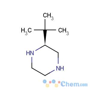 CAS No:502482-37-3 (s)-2-tert-butyl-piperazine