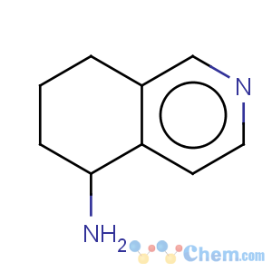 CAS No:502612-43-3 5-isoquinolinamine,5,6,7,8-tetrahydro-(9ci)