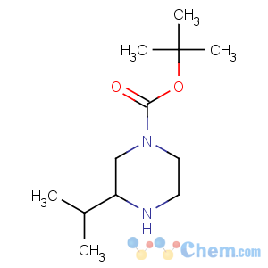 CAS No:502649-32-3 tert-butyl 3-propan-2-ylpiperazine-1-carboxylate