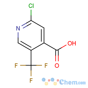 CAS No:505084-58-2 2-chloro-5-(trifluoromethyl)pyridine-4-carboxylic acid