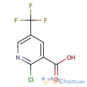 CAS No:505084-59-3 2-chloro-5-(trifluoromethyl)pyridine-3-carboxylic acid