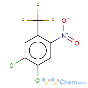 CAS No:50594-31-5 4,5-Dichloro-2-nitrobenzotrifluoride