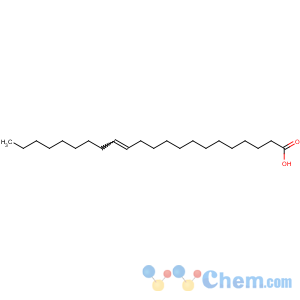 CAS No:506-33-2 (E)-docos-13-enoic acid