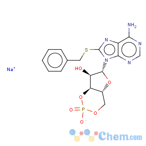 CAS No:50655-17-9 Adenosine,8-[(phenylmethyl)thio]-, cyclic 3',5'-(hydrogen phosphate), monosodium salt(9CI)