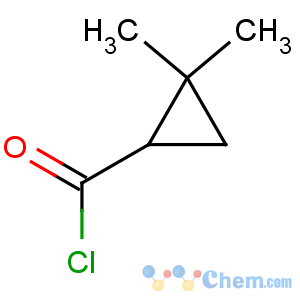 CAS No:50675-57-5 2,2-Dimethylcyclopropanecarbonyl chloride