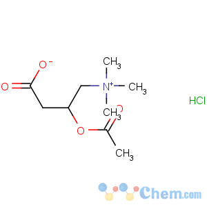 CAS No:5080-50-2 O-Acetyl-L-carnitine hydrochloride