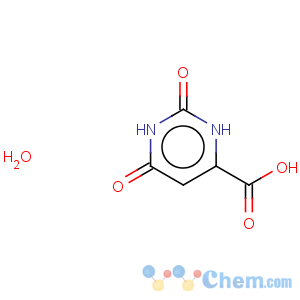 CAS No:50887-69-9 Orotic acid hydrate