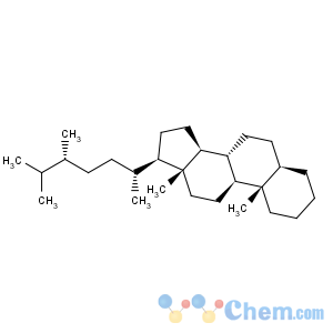 CAS No:50897-35-3 (24r)-5?-ergostane