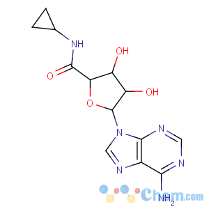 CAS No:50908-62-8 b-D-Ribofuranuronamide,1-(6-amino-9H-purin-9-yl)-N-cyclopropyl-1-deoxy-