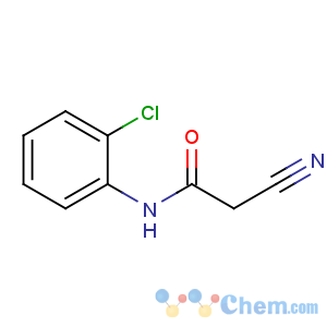 CAS No:50982-66-6 N-(2-chlorophenyl)-2-cyanoacetamide