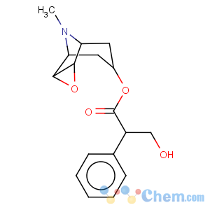 CAS No:51-34-3 Scopolamine