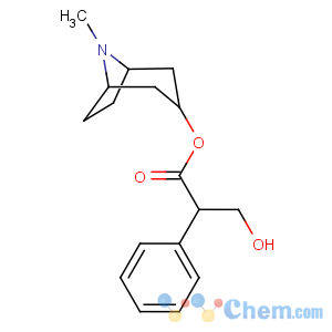 CAS No:51-55-8 Benzeneacetic acid, a-(hydroxymethyl)-(3-endo)-8-methyl-8-azabicyclo[3.2.1]oct-3-yl ester