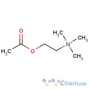 CAS No:51-84-3 2-acetyloxyethyl(trimethyl)azanium