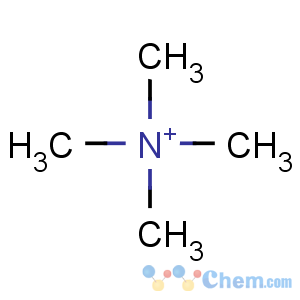 CAS No:51-92-3 tetramethylammonium