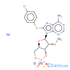 CAS No:510774-50-2 8-(4-Chlorophenylthio)-2'-O-methyladenosine-3'5'-cyclic monophosphatesodium salt