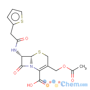 CAS No:51098-29-4 (+-)-cephalothin