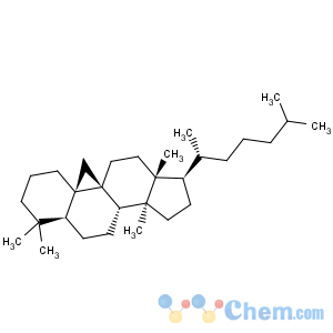 CAS No:511-64-8 9,19-Cyclolanostane
